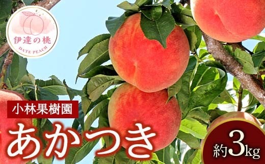 【2026年出荷分先行予約】福島県産 あかつき 約3kg (9～12玉) 小林果樹園 伊達の桃 桃 フルーツ 果物 もも モモ momo F20C-590 307699 - 福島県伊達市