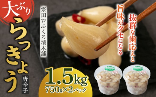 らっきょう 1.5kg(唐辛子) [築上町][寒田おふくろ漬本舗] [ABDO003] 10000円
