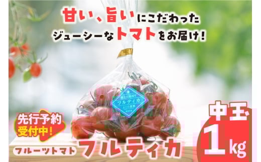 【先行予約】【2025年12月頃から順次発送】フルーツトマト　中玉フルティカ1kg　よこた農園 フフルティカ 野菜 トマト 新鮮野菜 太陽の恵み 中玉トマトトマト料理 愛知県産 フルーツとまと 甘いトマト お取り寄せ グルメ 常滑市