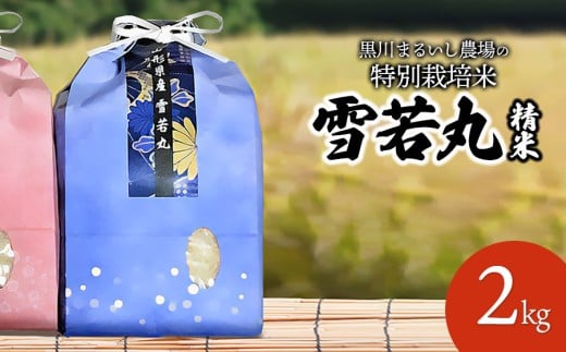 【令和7年産先行予約】 黒川まるいし農場の特別栽培米 雪若丸 2kg 山形県鶴岡市産 K-721 2211164 - 山形県鶴岡市