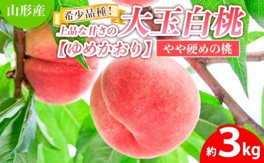 希少品種！！上品な甘さの大玉白桃【ゆめかおり】約3kg [やや硬めの桃]  FY25-322