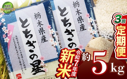 【定期便3回】とちぎの星 5kg【栃木県共通返礼品】 | 米 こめ コメ kome 白米 精米 お米 とちぎのほし トチギノホシ ﾄﾁｷﾞﾉﾎｼ 粘り 弾力 冷めても美味しい 丼もの カレー 新米 栃木米 令和7年度米 令和7年度 2025年度米 2025年度 ブランド米 栃木県 特産品 送料無料 栃木県 下野市 しもつけ市