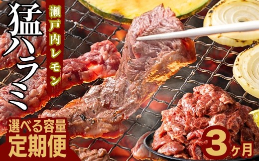 [選べる容量!定期便]牛ハラミ定期便 3ヶ月 瀬戸内レモン潮だれ 竹原のタケハラミ[肉 訳あり 小分け 真空パック 冷凍 牛肉 ハラミ 味付き 焼肉 BBQ 尾野精肉店 広島県 竹原市]