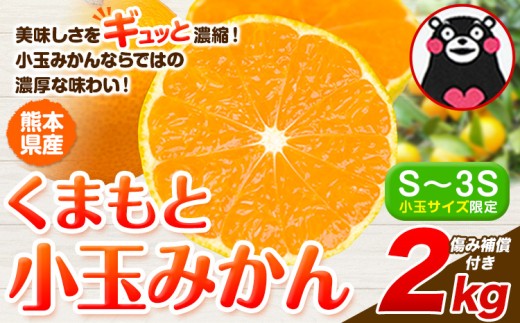 みかん 小玉みかん くまもと小玉みかん 2kg  秋 旬 ご家庭用 SDGs 小玉 たっぷり 熊本県 産 S-3Sサイズ フルーツ 旬 柑橘 熊本県産 温州みかん《1月中旬-2月中旬頃出荷》みかん 温州みかん 旬みかん 1491861 - 熊本県玉東町