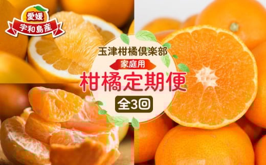 柑橘定期便 全 3回 みかん定期便 家庭用 早生 温州みかん ぽんかん 河内晩柑 玉津柑橘倶楽部 先行予約 サイズ 不揃い ポンカン 果実 果物 くだもの フルーツ 柑橘 愛媛蜜柑 愛媛みかん mikan 産地直送 数量限定 国産 愛媛 宇和島 B030-072048 2268691 - 愛媛県宇和島市