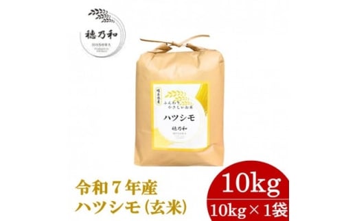 ＜先行予約＞令和7年産　岐阜県産ハツシモ(玄米)10kg【1656436】
