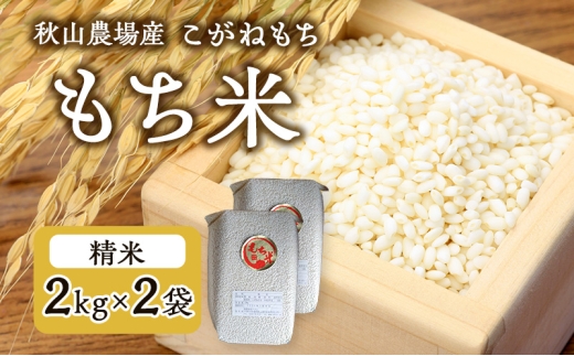 【もち米】【真空チャックパック】新潟産こがねもち(もち米)2Kg×2袋 新潟 上越 2240776 - 新潟県上越市