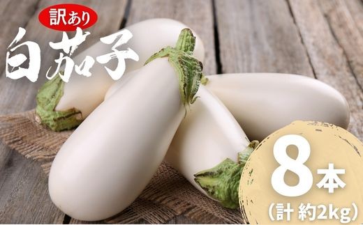 【訳あり】 農家直送 白茄子 土佐の美味茄子の新鮮ナス 8本 2kg 野菜 なす ナス 常温 小袋 国産 夏野菜 茄子 小分け 旬 高知