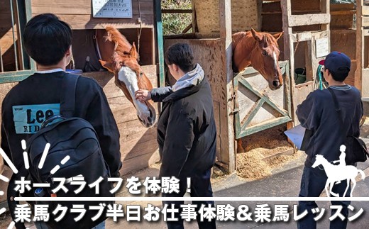 ホースライフを体験！乗馬クラブ半日お仕事体験＆乗馬レッスン【 体験 レッスン 神奈川県 大磯町 】
