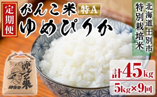 【F7069】＜令和7年産 先行予約！＞《定期便・全9回》田舎塾特別栽培米「がんこ米ゆめぴりか」(5kg×9回・計45kg) 【2025年10月中旬以降順次発送】 米 お米 白米 北海道産 北海道米 ゆめぴりか 特A 一等級 ごはん おこめ コメ 単一原料米 定期便 【田舎塾】