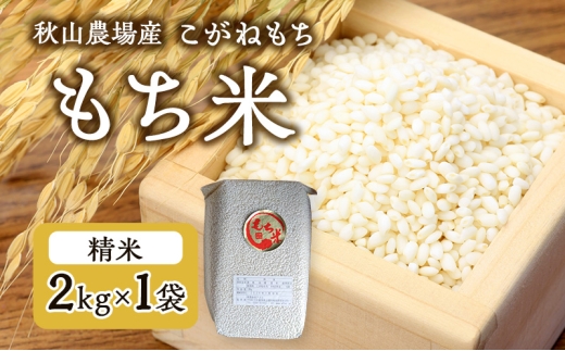 【もち米】【真空チャックパック】新潟産こがねもち(もち米)2Kg×1袋 新潟 上越 2240775 - 新潟県上越市