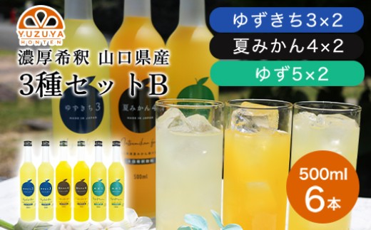 柑橘 ジュース 濃厚希釈 山口県産 3種セットB 500ml×6本 セット /夏みかん 柚子 ゆずきち　｜HG000825 2057474 - 山口県萩市