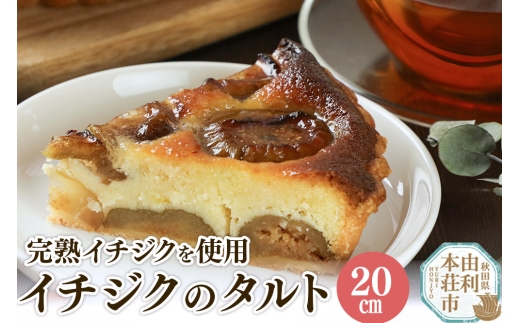 イチジクのタルト 20cm（800g） 2239217 - 秋田県由利本荘市