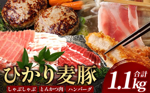 鹿児島県産 ひかり麦豚【しゃぶしゃぶ 食べ比べ + とんかつ肉 + ハンバーグ】セット ≪合計1.1㎏≫  | 肉 お肉 にく 豚肉 黒豚 かごしま黒豚 ロース 肩ロース バラ肉 スライス 冷凍 産地直送 新鮮 送料無料 鹿児島県 南大隅町 HM-702 837593 - 鹿児島県南大隅町
