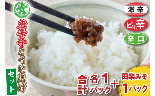青唐辛子こうじ漬けセット【ピリ辛・辛口・激辛・田楽みそ】ごはん お弁当 おつまみ トッピング おすそ分け（AK009）