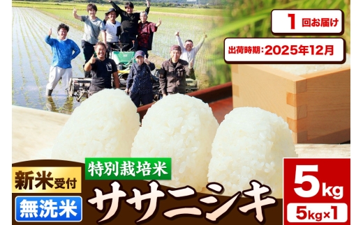 《新米受付》令和7年産【無洗米】特別栽培米 ササニシキ 5kg 秋田県産【2025年12月出荷】 2239022 - 秋田県由利本荘市