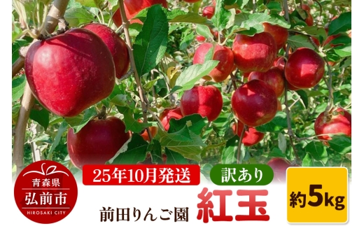 【25年10月発送】りんご【訳あり】紅玉 約5kg  前田りんご園【レビューキャンペーン】 2239974 - 青森県弘前市