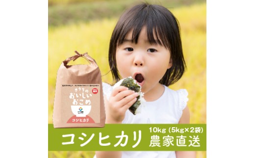 新米【令和7年産】無洗米 コシヒカリ 10kg (5kg×2) 稲敷市産 農家直送｜米 こめ コメ ごはん ご飯 [1626] 2239772 - 茨城県稲敷市