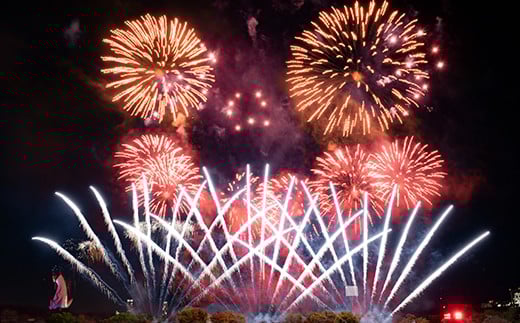 【66-08】第4回 万博夜空がアートになる日 花火鑑賞チケット パノラマシート（お子様2名分）