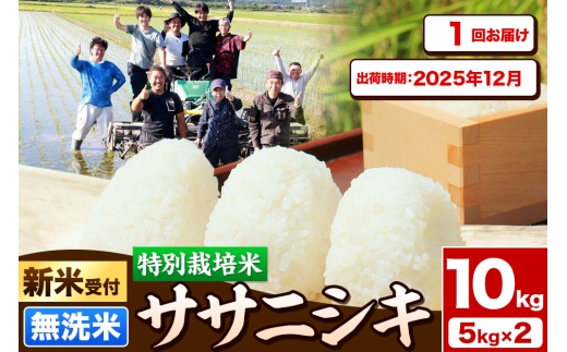 《新米受付》令和7年産【無洗米】特別栽培米 ササニシキ 10kg（5kg×2袋）秋田県産【2025年12月出荷】 2239033 - 秋田県由利本荘市