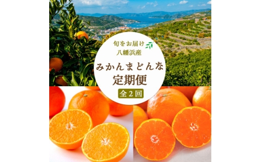 ＜発送月固定定期便＞まどんな2.5kg×愛媛みかん 小玉6kg 定期便＜F25-255＞全2回【4070998】