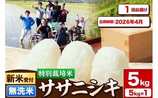 《新米受付》令和7年産【無洗米】特別栽培米 ササニシキ 5kg 秋田県産【2026年4月出荷】 2239026 - 秋田県由利本荘市