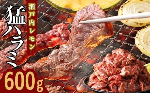 【瀬戸内レモン塩だれ】牛ハラミ 600g(300g×2パック) 尾野精肉店の牛ハラミ【肉 訳あり 小分け 真空パック 冷凍 牛肉 ハラミ 味付き 焼肉 BBQ 広島県 竹原市】※離島への配送不可 1993567 - 広島県竹原市