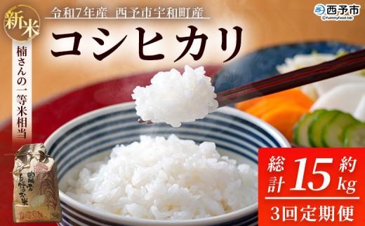 新米 ＜令和7年産 コシヒカリ 約5kg 3回定期便 西予市宇和町産＞ 白米 精米 楠さんの一等米相当 こしひかり お米 コメ こめ 米 ご飯 ごはん 定期便 穀物 ライス 愛媛県 西予市【常温】『2025年9月上旬から順次出荷予定』