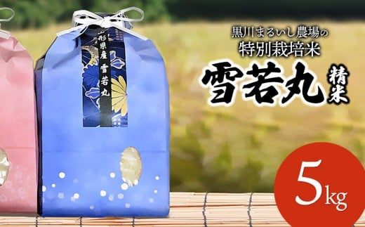 【令和7年産先行予約】 黒川まるいし農場の特別栽培米 雪若丸 5kg 山形県鶴岡市産 K-745 2211574 - 山形県鶴岡市