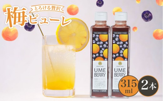 梅ベリーピューレ UMEBERRY 2本セット 315ml×2本 ( 無添加 5倍希釈 フルーツ 果物 梅 うめ 完熟梅 ブルーベリー ジュース シロップ 贈り物 割材 炭酸割 お酒割 焼酎 ヨーグルト 牛乳 カクテル 京都府 京丹波 )