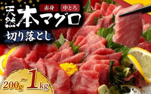 【容量選べる】 天然本マグロ 中トロ 赤身 切り落とし 200g ～ 1kg 小分け 訳あり マグロ 刺身 カルパッチョ まぐろ丼 まぐろ漬け丼 魚 惣菜 海鮮丼 魚介類 食べきりサイズ 父の日 冷凍 不揃い クロマグロ 黒マグロ 10000円