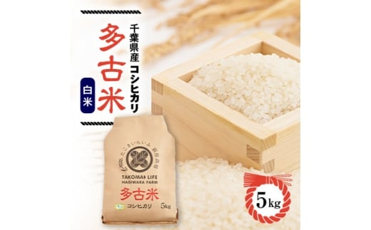 ＜毎月定期便＞たこまいらいふ萩原農場の多古米コシヒカリ(精米)5kg全3回【4072552】 2243092 - 千葉県多古町