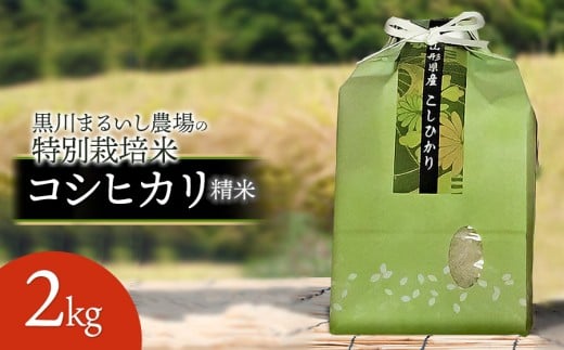 【令和7年産先行予約】 黒川まるいし農場の特別栽培米 コシヒカリ 2kg 山形県鶴岡市産 K-721 2210060 - 山形県鶴岡市