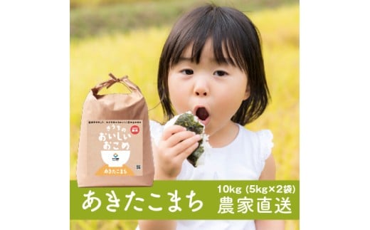 新米【定期便／3ヶ月 令和7年産】無洗米 あきたこまち (10kg×3回) 合計30kg 稲敷市産 農家直送｜米 こめ コメ ごはん ご飯 [1631] 697764 - 茨城県稲敷市
