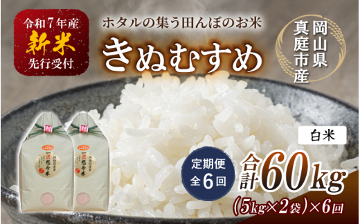 [令和7年産先行予約][定期便 全6回]令和7年新米 真庭市産きぬむすめ 白米10kg(5kg×2袋)×6回(定期便) / お米 国産 岡山県 真庭市 白米 米 きぬむすめ キヌムスメ 人気 ブランド米 新米 先行予約 定期便 令和7年産 2025年産