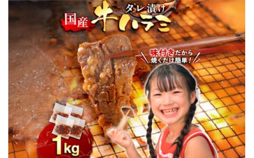 牛肉 焼肉 国産 特製たれ漬 牛ハラミ サ