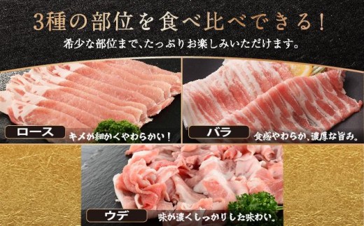 沖縄県南城市のふるさと納税 沖縄あぐーしゃぶしゃぶ食べ比べ（ロース、バラ、ウデ）総重量1kg