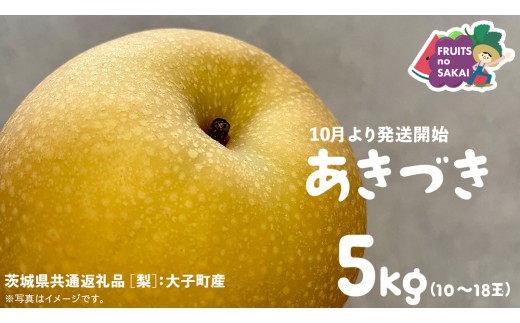 あきづき 梨 5kg （10～18玉）【2025年10月より発送開始】（茨城県共通返礼品 [梨]：大子町産） なし 旬 お取り寄せ フルーツ 甘い ジューシー 和梨 時期 秋月