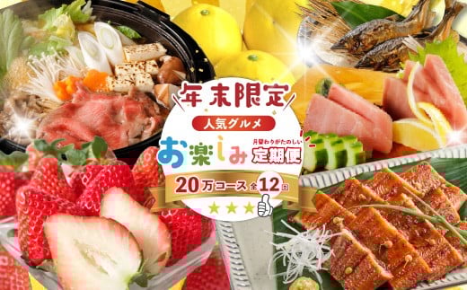 【年末限定】 12回 定期便 四万十 人気 グルメ お楽しみ定期便 しまんと ふるさと 20万円 今だけ 年末 限定 肉 いちご 文旦 うなぎ 牛肉 パン まぐろ マグロ かつお フルーツ 人気グルメ ごちそう 贅沢 豪華 高知 四万十市 25-616