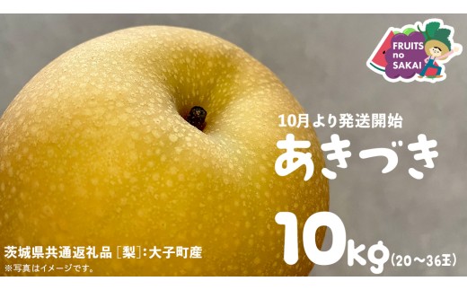 あきづき 梨 10kg （20～36玉）【2025年10月より発送開始】（茨城県共通返礼品 [梨]：大子町産） なし 旬 お取り寄せ フルーツ 甘い ジューシー 和梨 時期 秋月