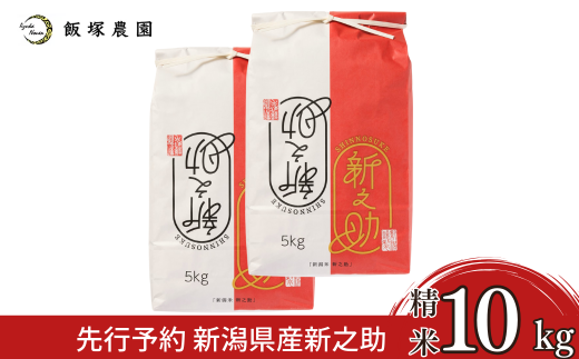 先行予約 新潟県産新之助10kg 令和7年産 新之助 2025年産 新之助 白米 食味検査で高評価 [飯塚農園]  【028S046】
