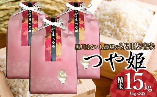 【令和7年産先行予約】 黒川まるいし農場の特別栽培米 つや姫 15kg (5kg×3袋) 山形県鶴岡市産 K-7126 2213943 - 山形県鶴岡市