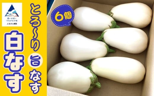 [季節限定]のうちゃんファームの白なす 6個 ナス 茄子 野菜