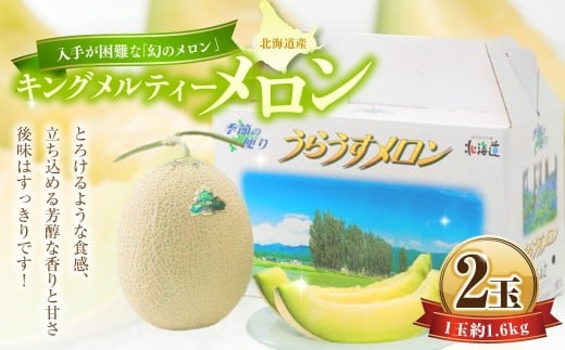 キングメルティーメロン 2玉 (1玉 約1.6kg) [2026年7月上旬〜7月下旬迄順次発送予定] 果物 フルーツ メロン めろん 青肉 希少フルーツ 希少品 北海道 浦臼町