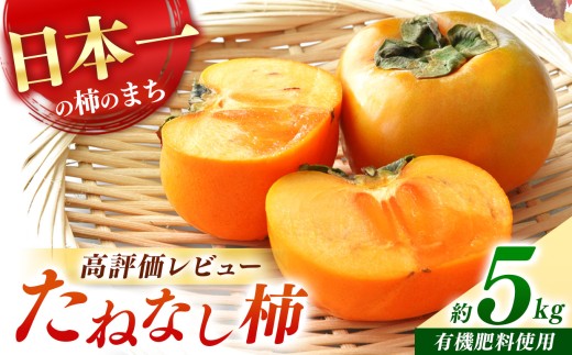 たねなし柿 約5kg | フルーツ 果物 くだもの 柿 かき カキ 奈良県 五條市 773105 - 奈良県五條市