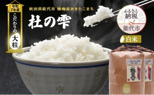 令和7年産 新米 米 お米 《定期便9ヶ月》【白米】秋田県産 あきたこまち あきた種梅産こまち 杜の雫 こだわりの大粒 18kg（9kg×2袋）×9回 合計162kg