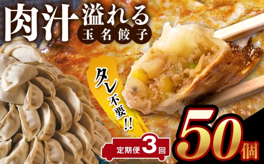 【定期便3回】タレ不要！！ 肉汁 溢れる『 玉名餃子 』 50個 | 餃子 ぎょうざ お手軽 小分け 冷凍 冷凍食品 おかず 豚肉 熊本県 玉名市