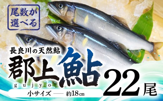[尾数が選べる]郡上鮎 長良川の天然鮎 小サイズ(約18cm) 22尾/ 食品 魚介類 水産加工品 その他水産物 鮎 アユ 30000円 G0075e
