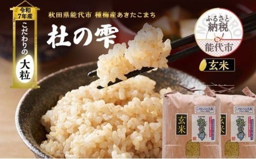 令和7年産 新米 米 お米 《定期便9ヶ月》【玄米】秋田県産 あきたこまち あきた種梅産こまち 杜の雫 こだわりの大粒 20kg（10kg×2袋）×9回 合計180kg