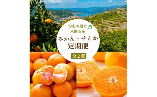 ＜発送月固定定期便＞愛媛みかん小玉6kg(訳)×せとか3kg(訳)＜G25-273＞全2回【4071217】 2240606 - 愛媛県八幡浜市